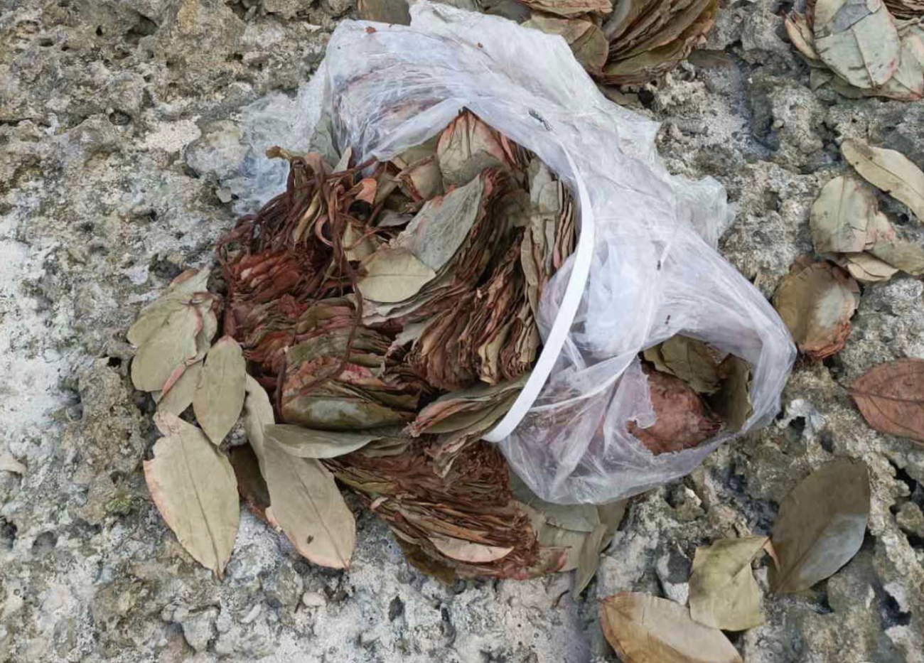 Kandoodhoo gondudhoshash goiy neygey faiy bondieh